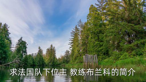 求法國(guó)隊(duì)下位主 教練布蘭科的簡(jiǎn)介