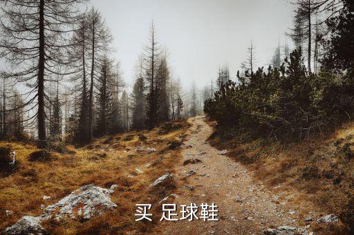 買 足球鞋