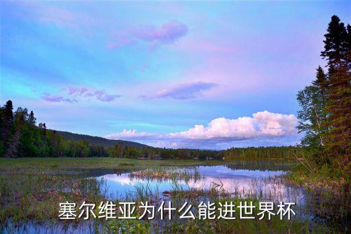  塞爾維亞為什么能進(jìn)世界杯