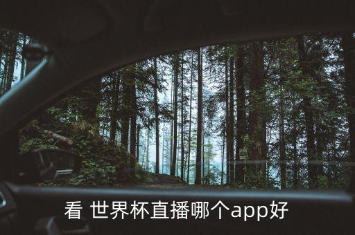 世界杯足球昨天比分,2022年足球世界杯比分