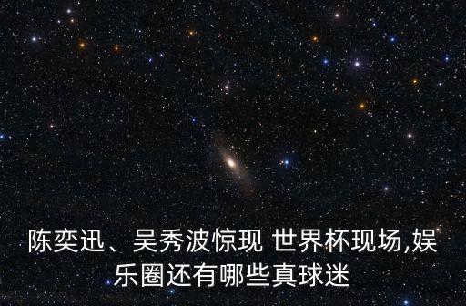 陳奕迅、吳秀波驚現(xiàn) 世界杯現(xiàn)場(chǎng),娛樂圈還有哪些真球迷