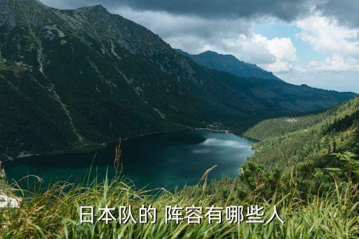 2010日本足球陣容,日本足球國家隊陣容名單