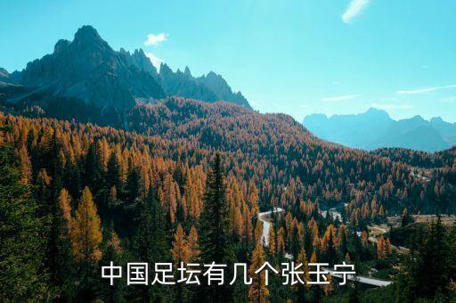 中國足壇有幾個張玉寧