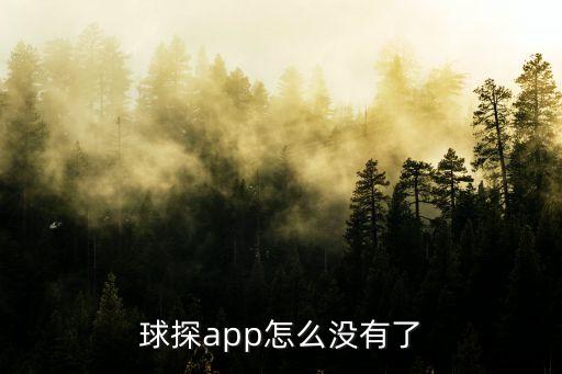 球探網(wǎng)足球比分打不開(kāi),足球比分球探網(wǎng)007