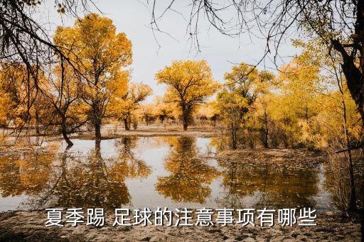 夏季踢 足球的注意事項(xiàng)有哪些