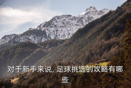 初學(xué)者足球硬點(diǎn)好還是軟點(diǎn)好