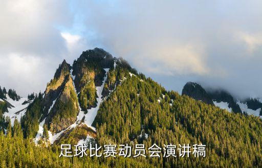 恒泰足球開幕式,足球開幕式作文400字