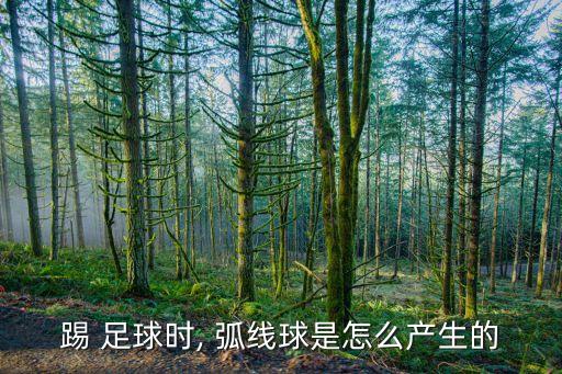 足球?yàn)槭裁从谢【€