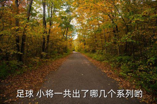  足球 小將一共出了哪幾個(gè)系列喲