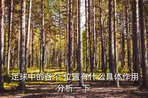  足球中的各個 位置有什么具體作用分析一下