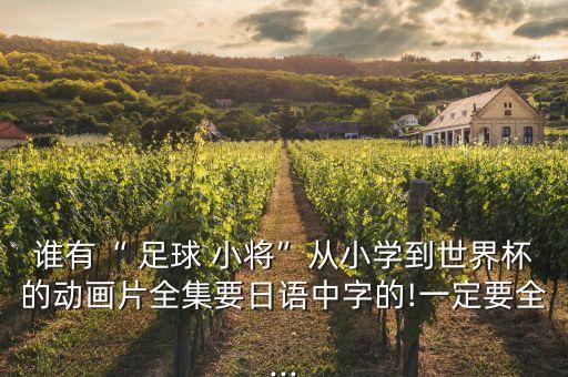 誰有“ 足球 小將”從小學到世界杯的動畫片全集要日語中字的!一定要全...