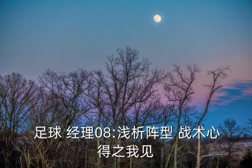  足球 經(jīng)理08:淺析陣型 戰(zhàn)術(shù)心得之我見