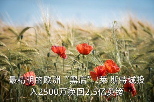 萊斯特城足球俱樂(lè)部老板