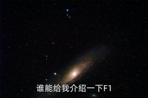 誰能給我介紹一下F1