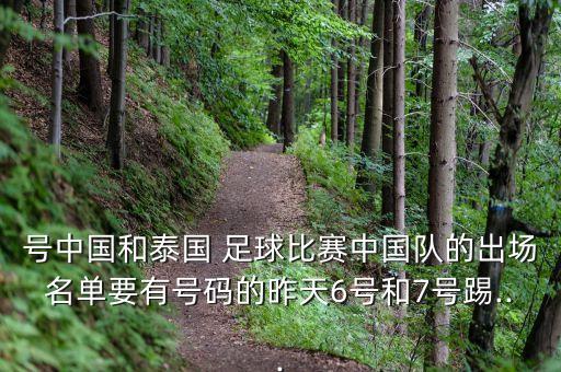 號中國和泰國 足球比賽中國隊的出場名單要有號碼的昨天6號和7號踢...