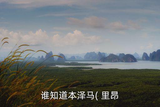 誰知道本澤馬( 里昂