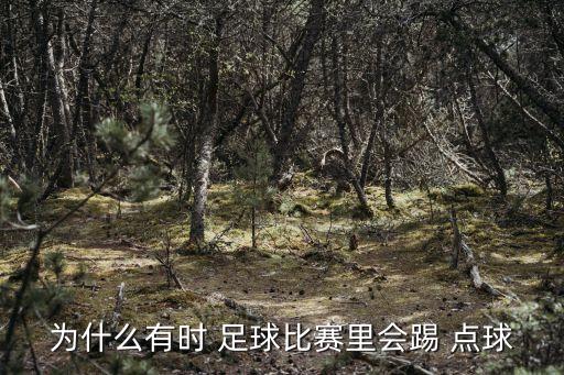 足球點(diǎn)球勝負(fù),足球最后點(diǎn)球怎么定勝負(fù)