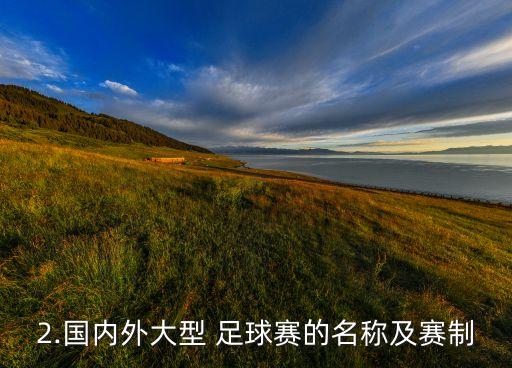 2.國內(nèi)外大型 足球賽的名稱及賽制