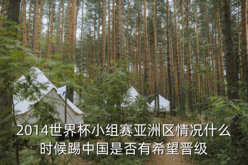 中國(guó)足球2014熱身賽,2014年中國(guó)足球