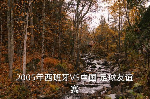 魏新微博 足球,魏新足球運動員