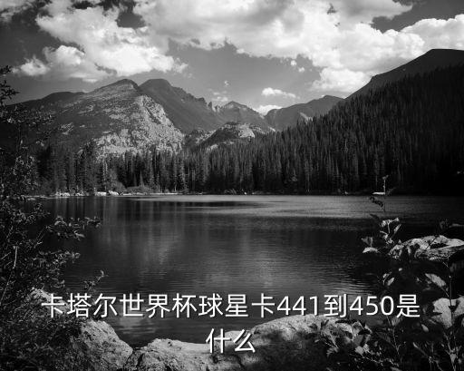 卡塔爾世界杯球星卡441到450是什么