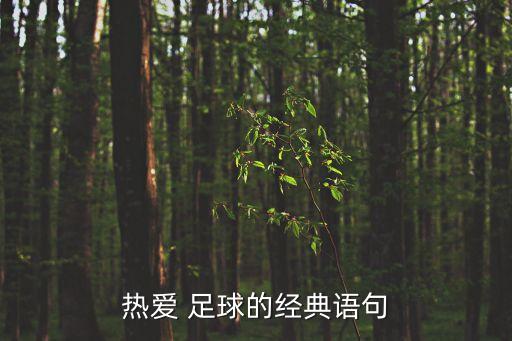 熱愛 足球的經(jīng)典語(yǔ)句