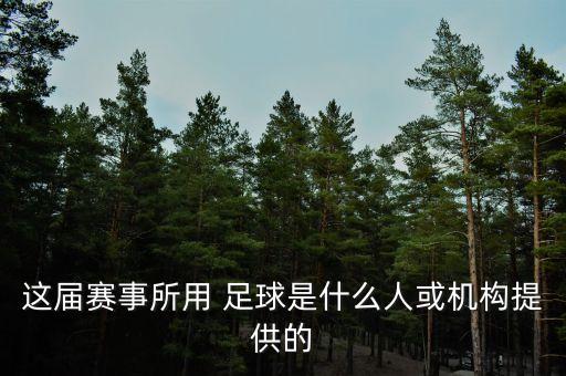 世界少年杯足球,少年足球周星馳在線看