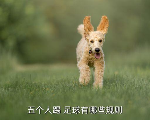 五個人踢 足球有哪些規(guī)則
