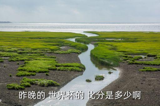 25日世界杯足球比分,2022世界杯直播