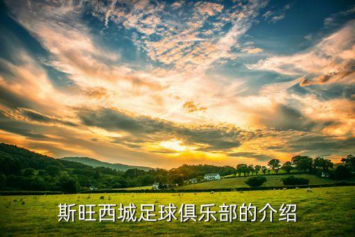 足球隊(duì)名的AFC是什么意思