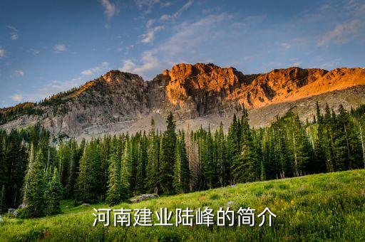  河南建業(yè)陸峰的簡(jiǎn)介