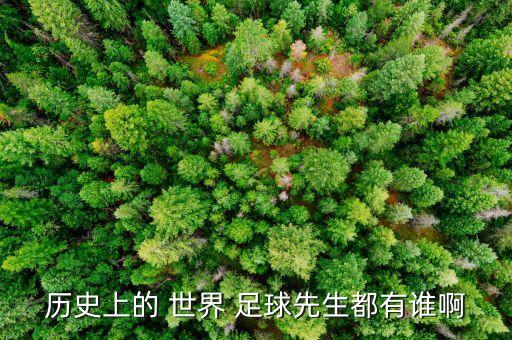歷史上的 世界 足球先生都有誰啊