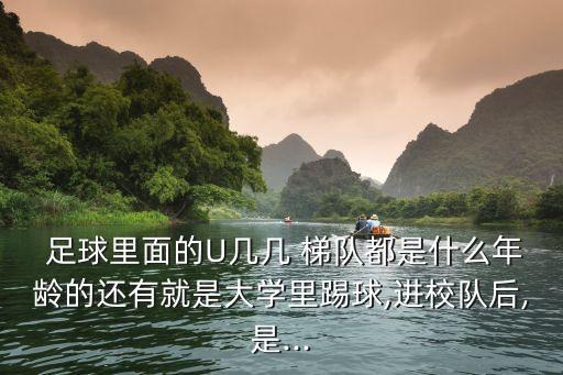  足球里面的U幾幾 梯隊都是什么年齡的還有就是大學(xué)里踢球,進校隊后,是...