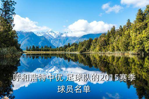 尹路足球