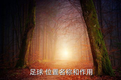  足球 位置名稱和作用