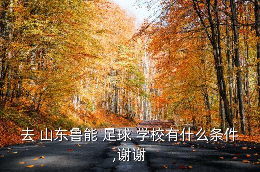 山東魯能少年足球?qū)W校
