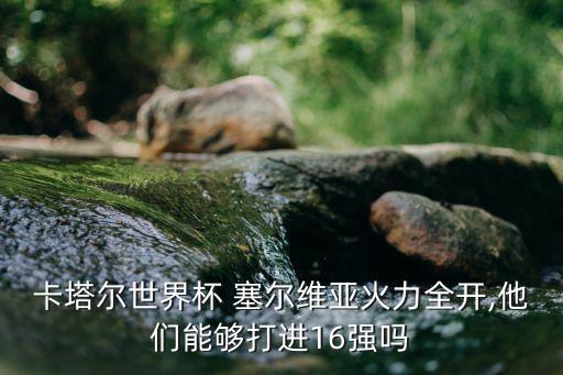 塞爾維亞足球隊怎樣