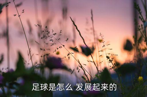 簡述足球運動的發(fā)展