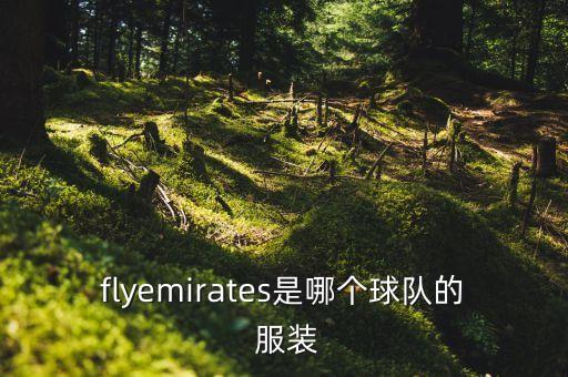flyemirates是哪個球隊的 服裝