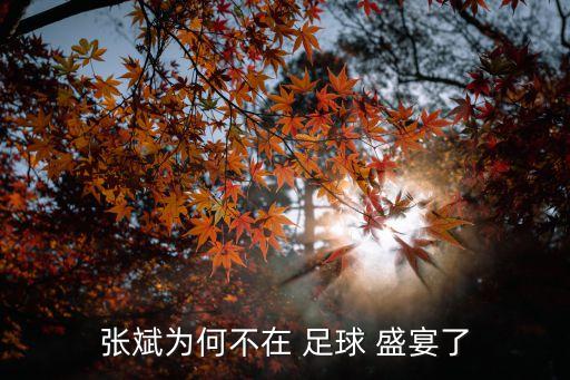 張斌為何不在 足球 盛宴了