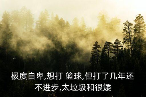 極度自卑,想打 籃球,但打了幾年還不進(jìn)步,太垃圾和很矮