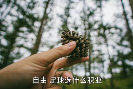  自由 足球選什么職業(yè)