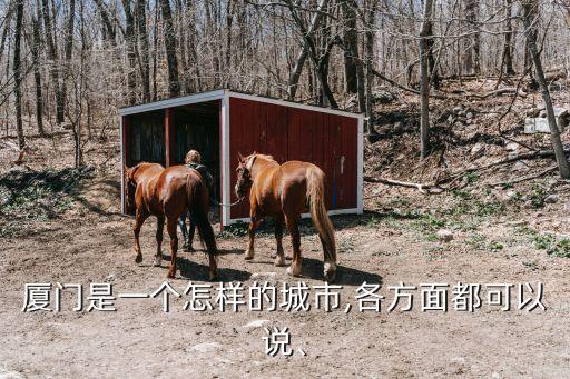 杭州哇咔上城足球公園,哇咔安亭體育公園足球中心