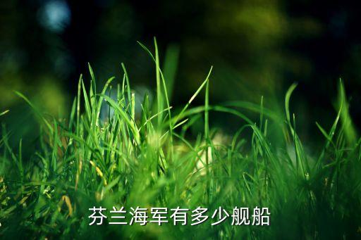 芬蘭海軍有多少艦船
