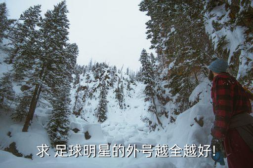 求 足球明星的外號(hào)越全越好!