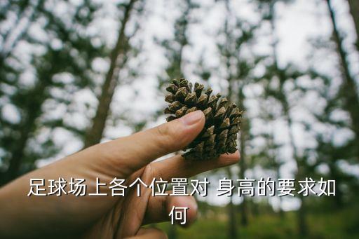 足球身高多少合適,足球梅西身高多少