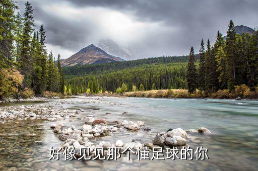 好像見見那個(gè)懂足球的你