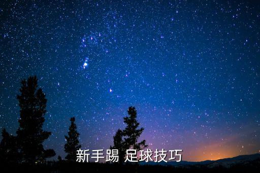新手踢 足球技巧