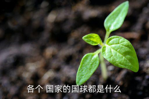 各個(gè) 國(guó)家的國(guó)球都是什么