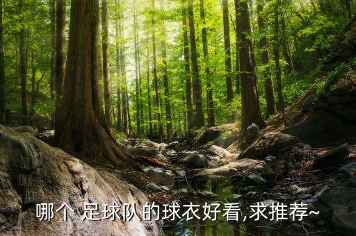 女生足球隊(duì)隊(duì)服,世界各國足球隊(duì)隊(duì)服